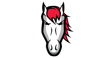 leicester riders logo